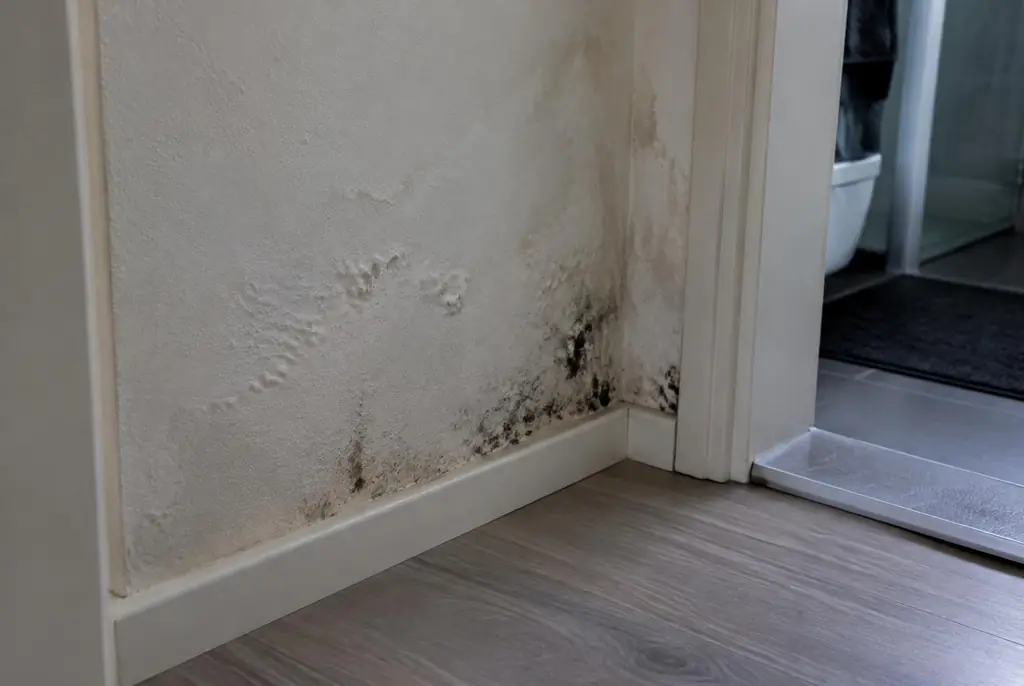Lekdetectie Naarden – vochtplek met schimmel op een muur